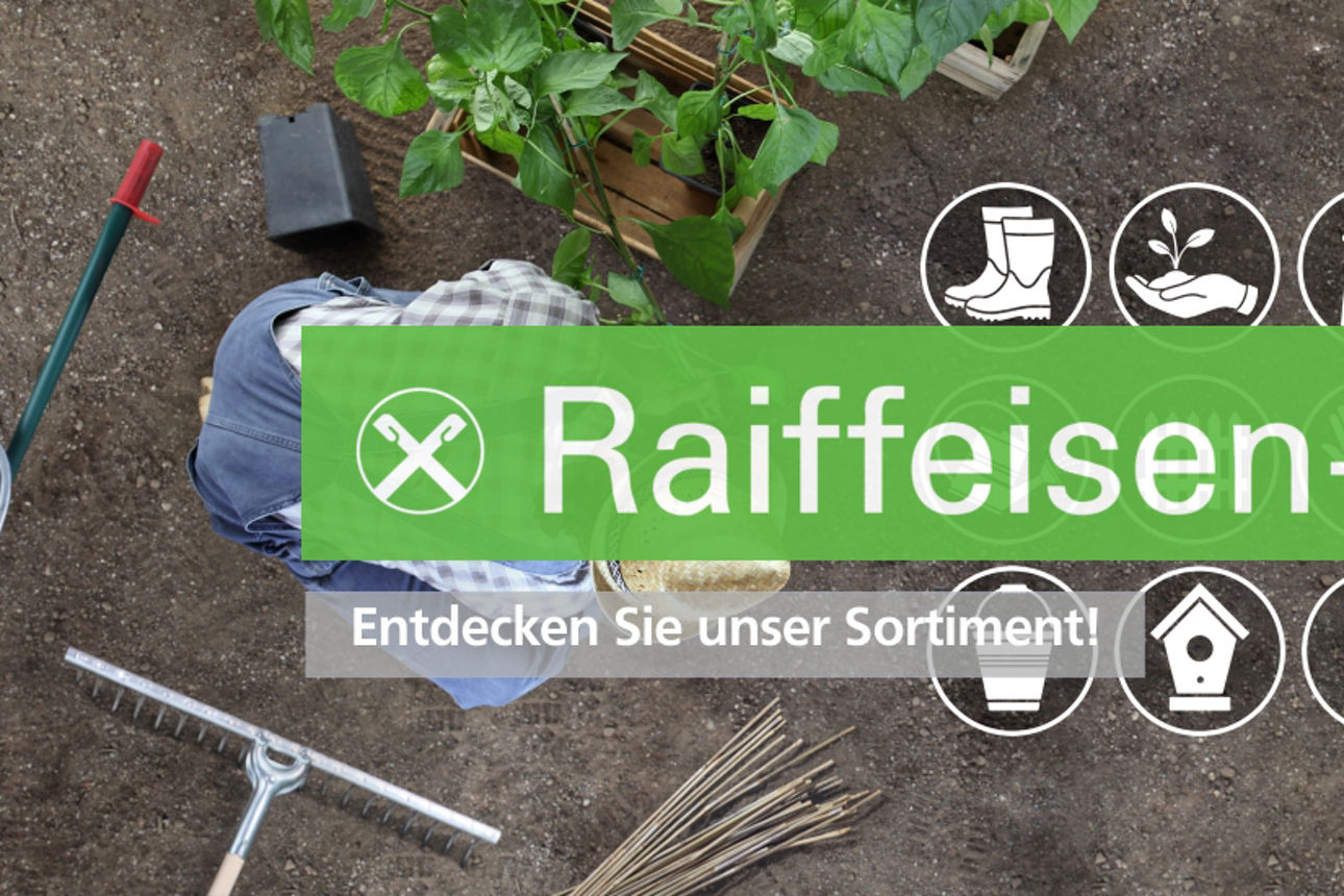 Draufsicht auf Gartengeräte und Erde, die eine Vielzahl von Materialien zeigen.