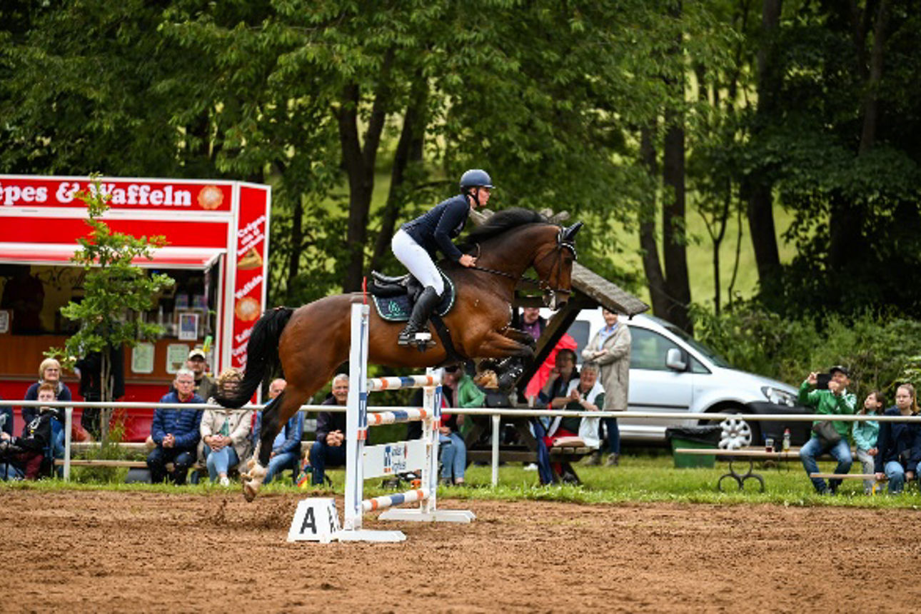 Reiter mit Pferd springt über Hürde