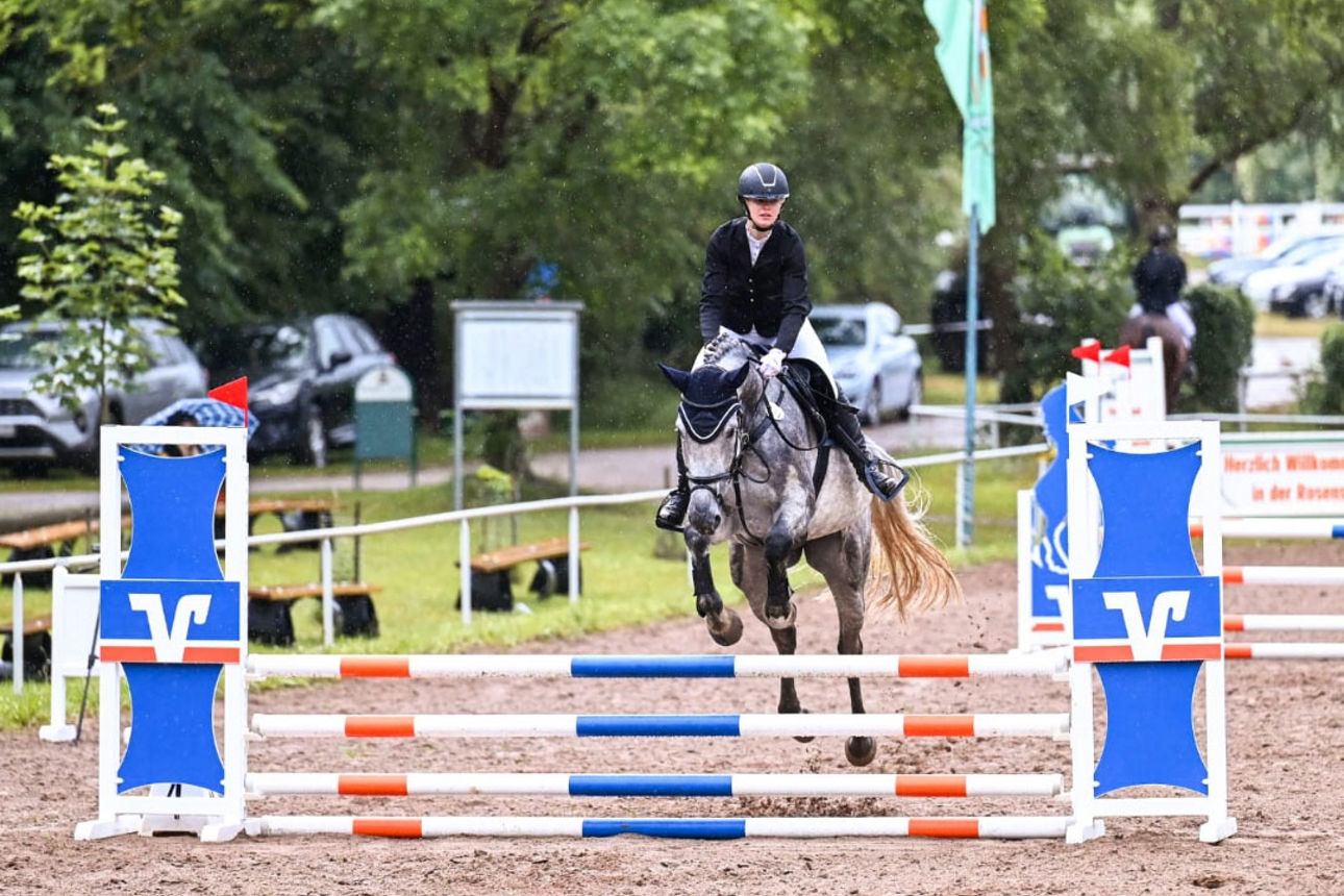 Reiter mit Pferd springt über Hürde