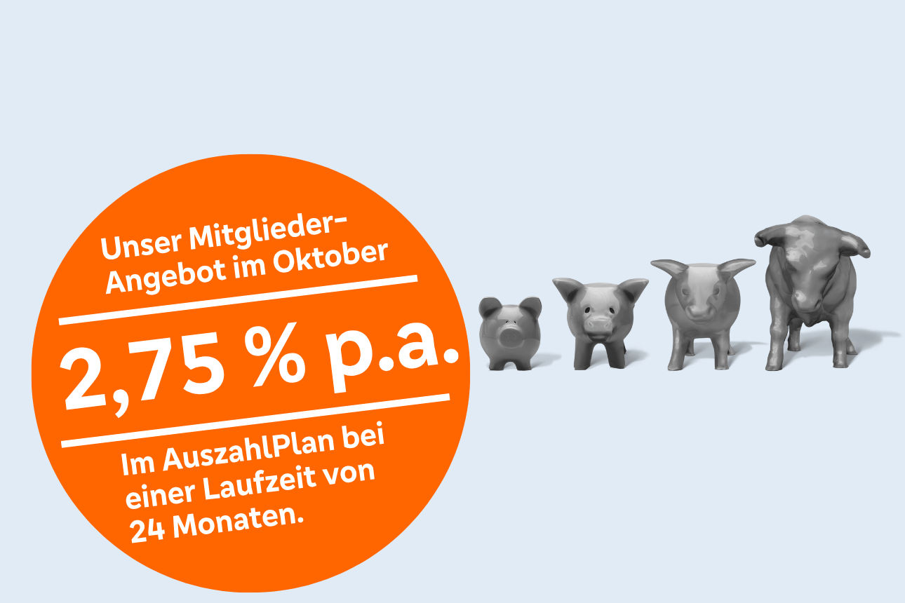 Die Evolution von Sparschein zu Bullen.
