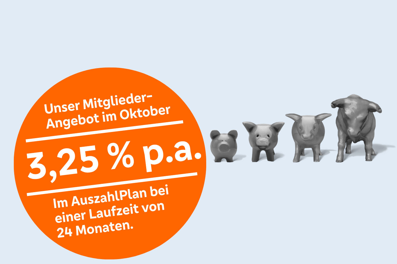 Die Evolution von Sparschein zu Bullen.