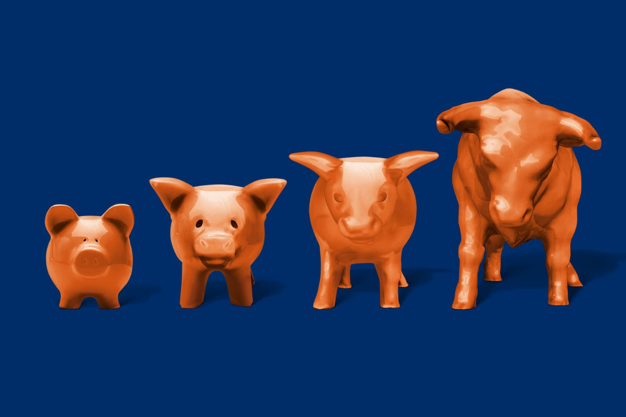 Die Evolution von Sparschein zu Bullen.