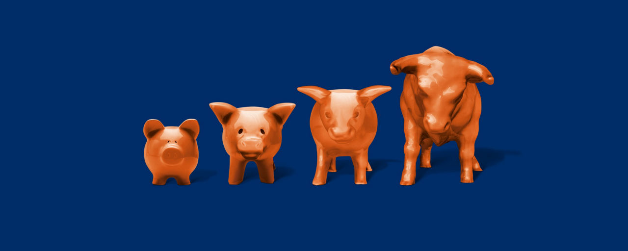 Die Evolution von Sparschein zu Bullen