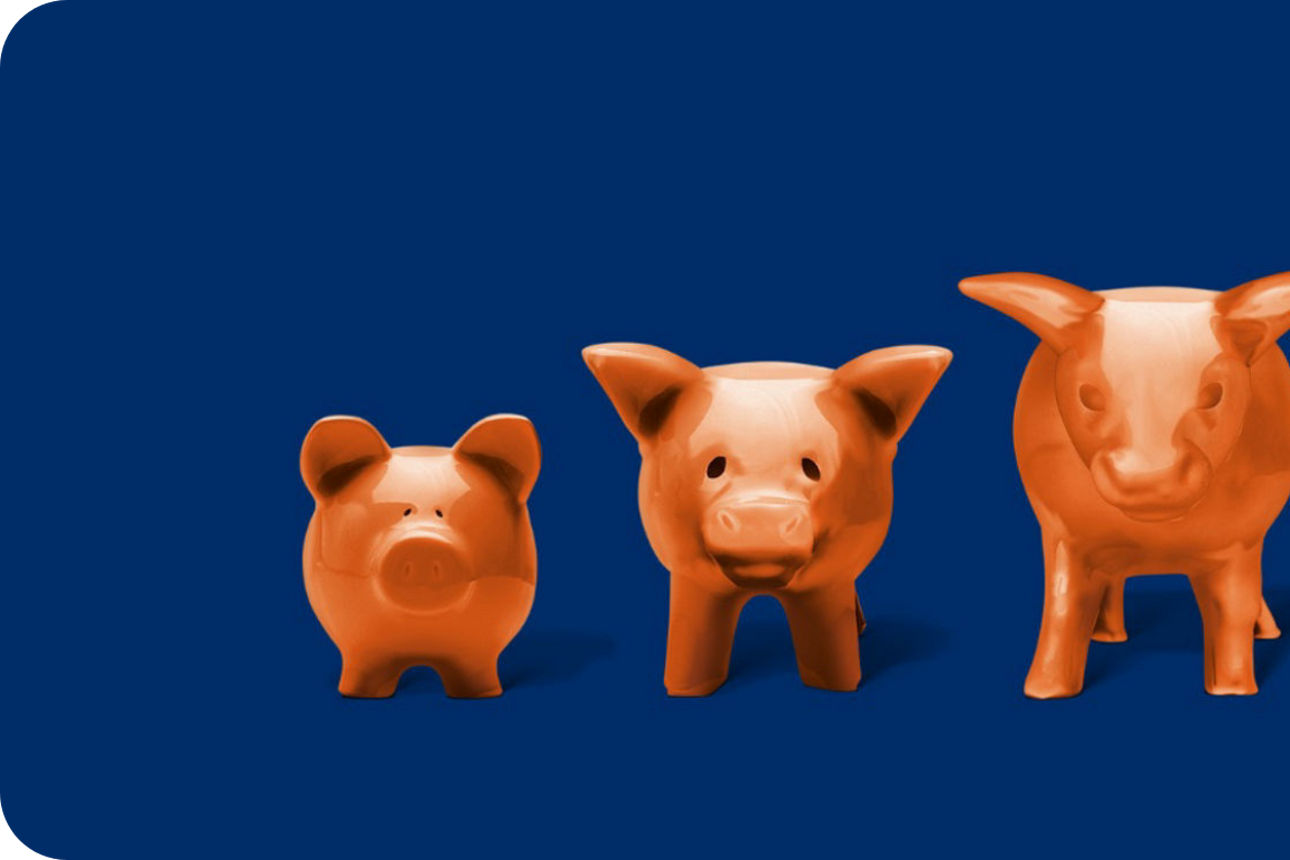 Die Evolution von Sparschein zu Bullen.