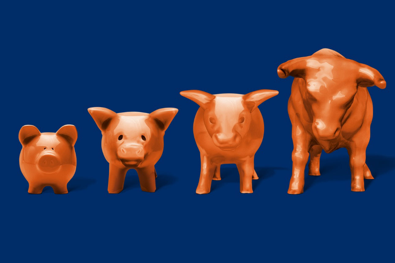 Die Evolution von Sparschein zu Bullen.