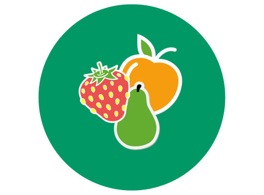 Icon Obst 