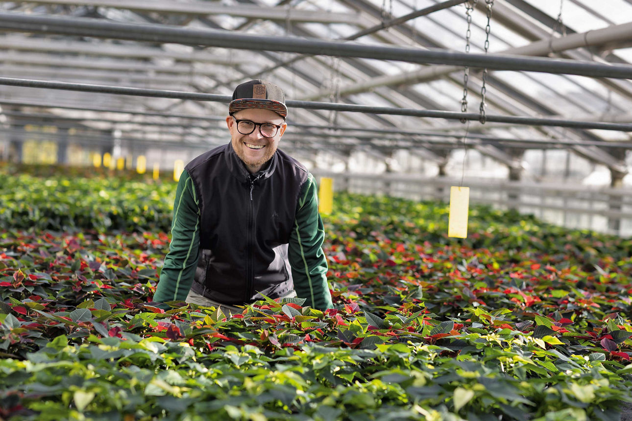 Sebastian Mahler steht in einem Gewächshaus in einer Fläche von Weihnachtssternen