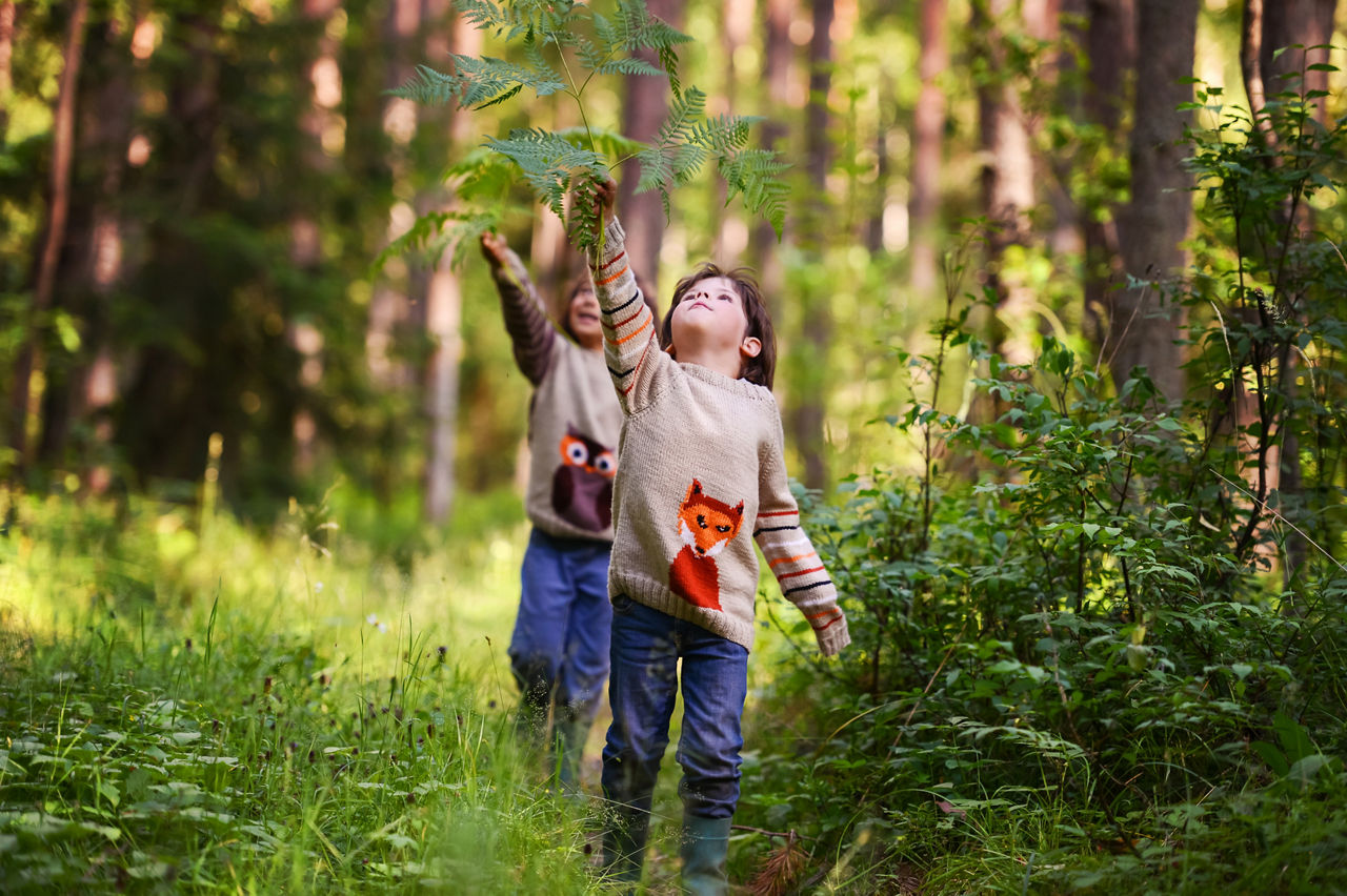 Zwei Kinder laufen durch einen Wald und blicken nach oben