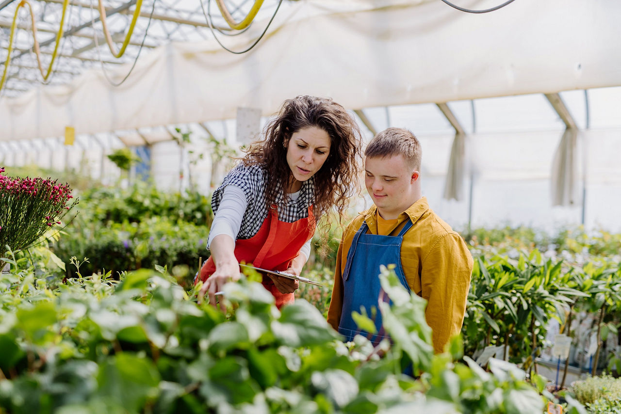 Frau und Mann mit Downsyndrom arbeiten gemeinsam in Blumenladen