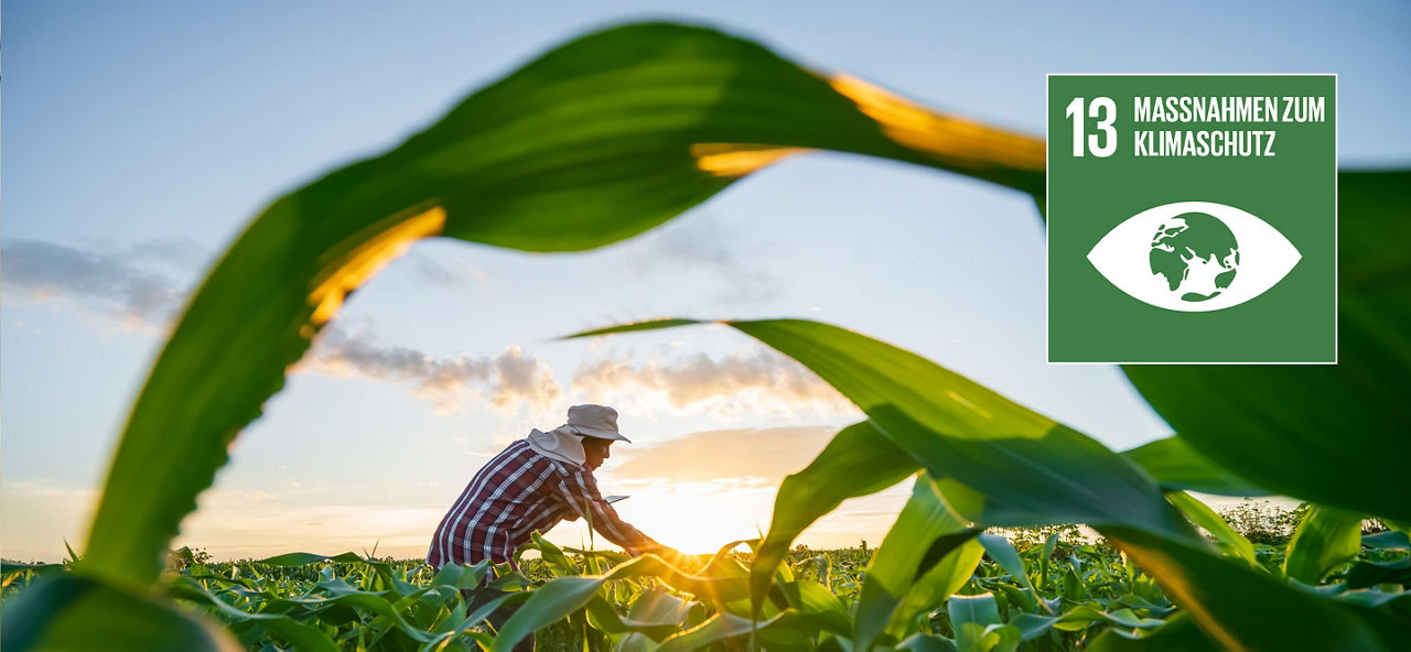 Eine Person arbeitet auf einem Feld, daneben Icon "Maßnahmen zum Klimaschutz"