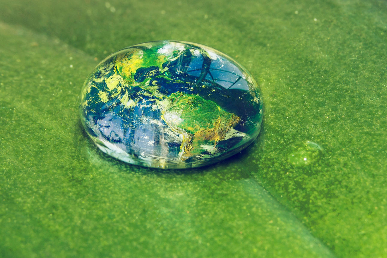 Ein Wassertropfen auf einem Blatt