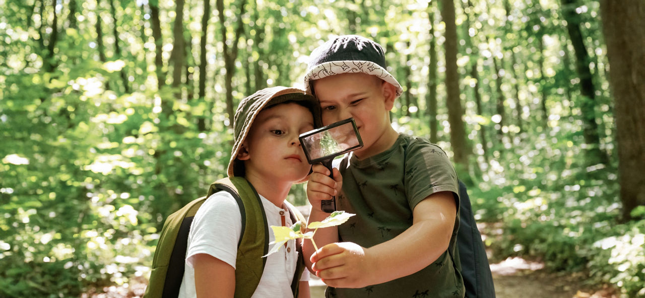 Zwei Jungen stehen im Wald und betrachten ein Blatt durch eine Lupe