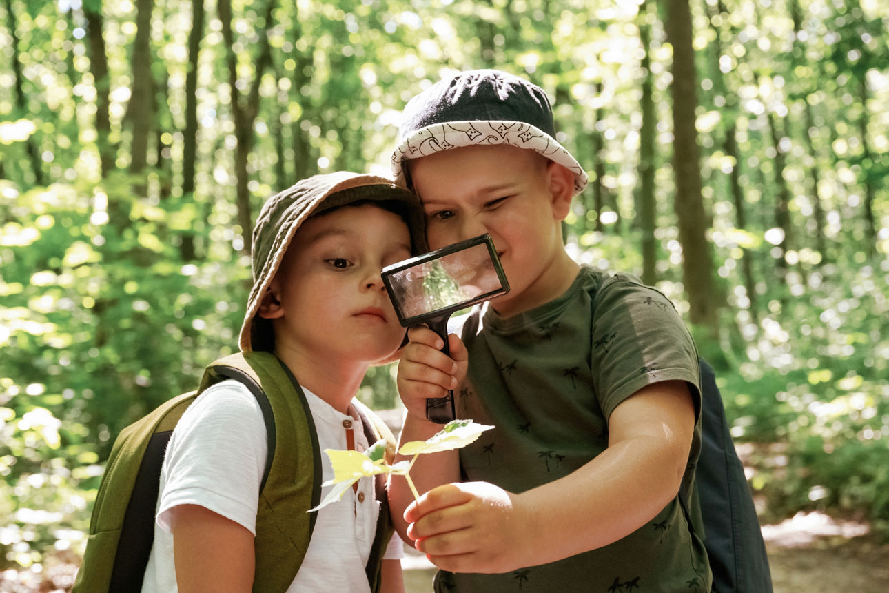 Zwei Jungen stehen im Wald und betrachten ein Blatt durch eine Lupe