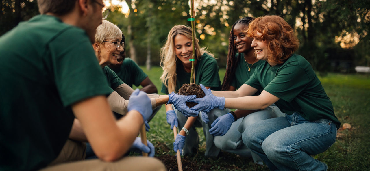 Eine Gruppe von Menschen pflanzt zusammen ein Baum-Setzling