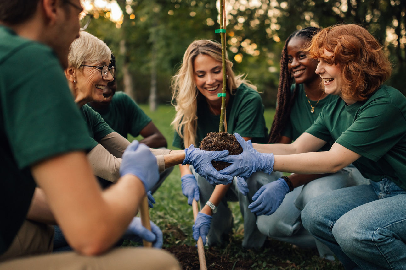 Eine Gruppe von Menschen pflanzt zusammen ein Baum-Setzling