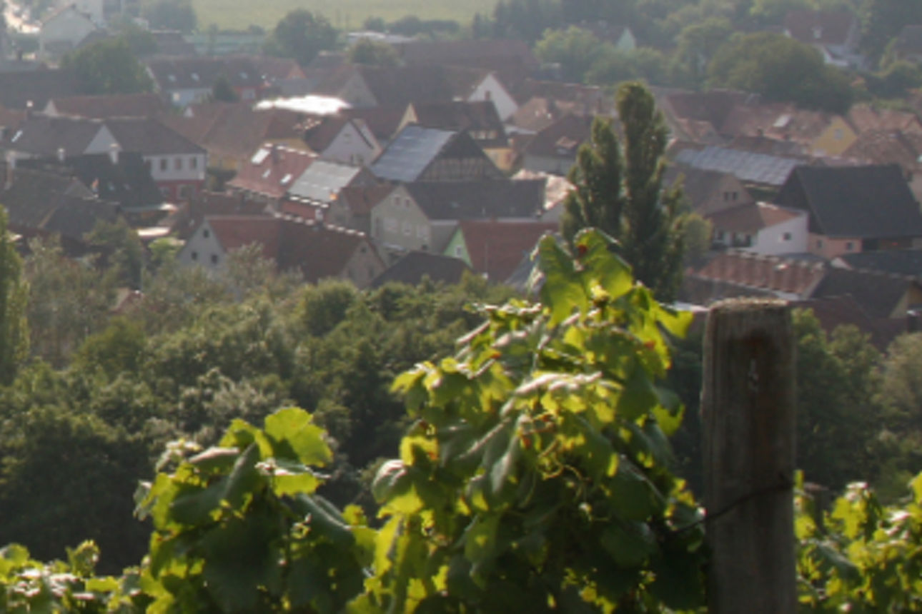 Filiale Sickershausen