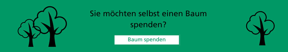 sie-moechten-selbst-einen-baum-spenden