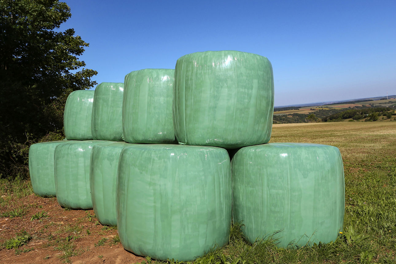 Reihe von großen Heuballen in einer grau-türkiesen Folie steht auf einem Feld