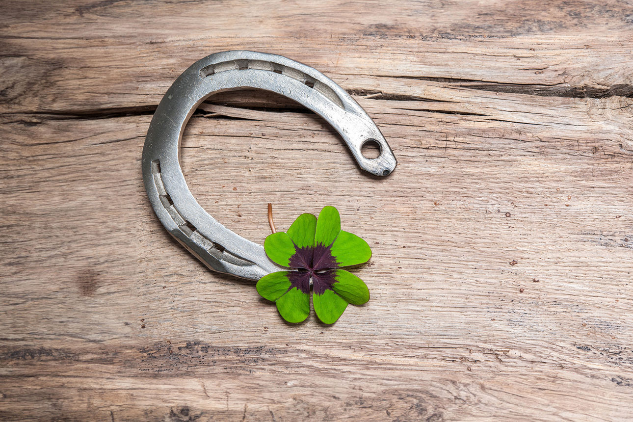 Hufeisen und Glücksklee auf einem Holzbrett