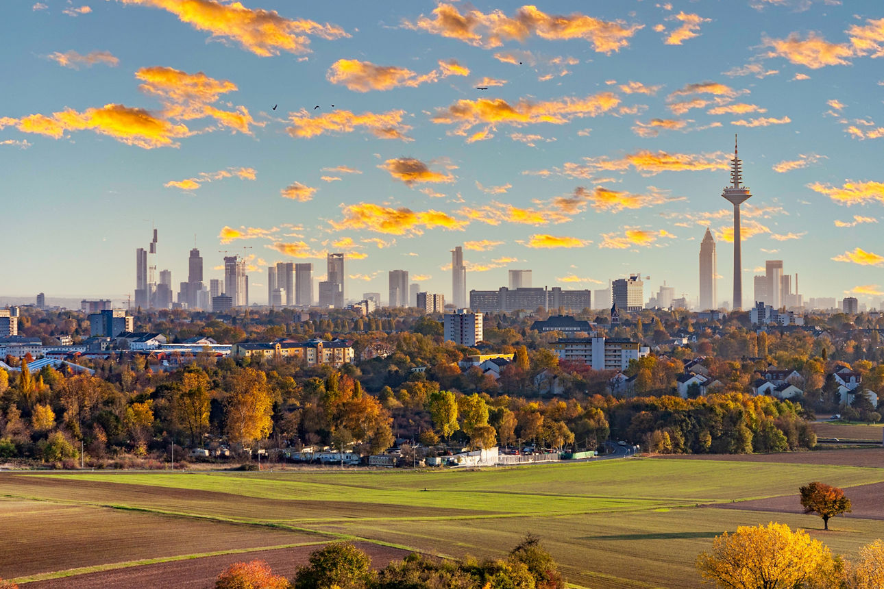 Panorama-Blick über Frankfurt am Main