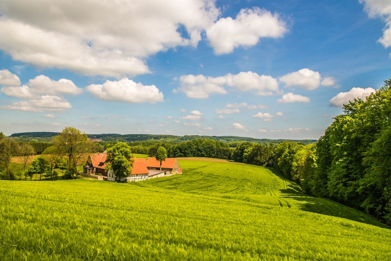 Landschaftsbild von Borgloh