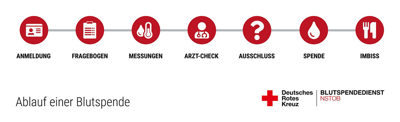Grafik des Ablauf der Blutspende
