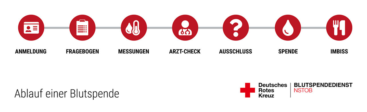 Grafik des Ablauf der Blutspende