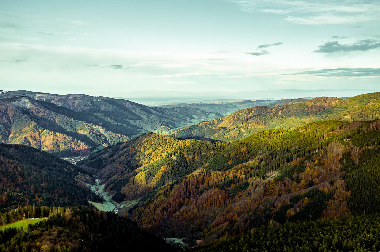 Schwarzwaldlandschaft mit Bergen, Tälern und Weitsicht.