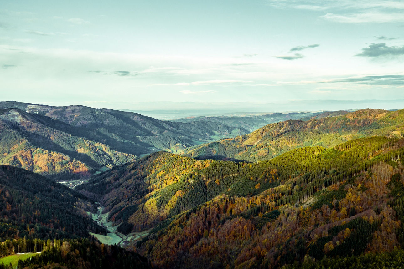 Schwarzwaldlandschaft mit Bergen, Tälern und Weitsicht.