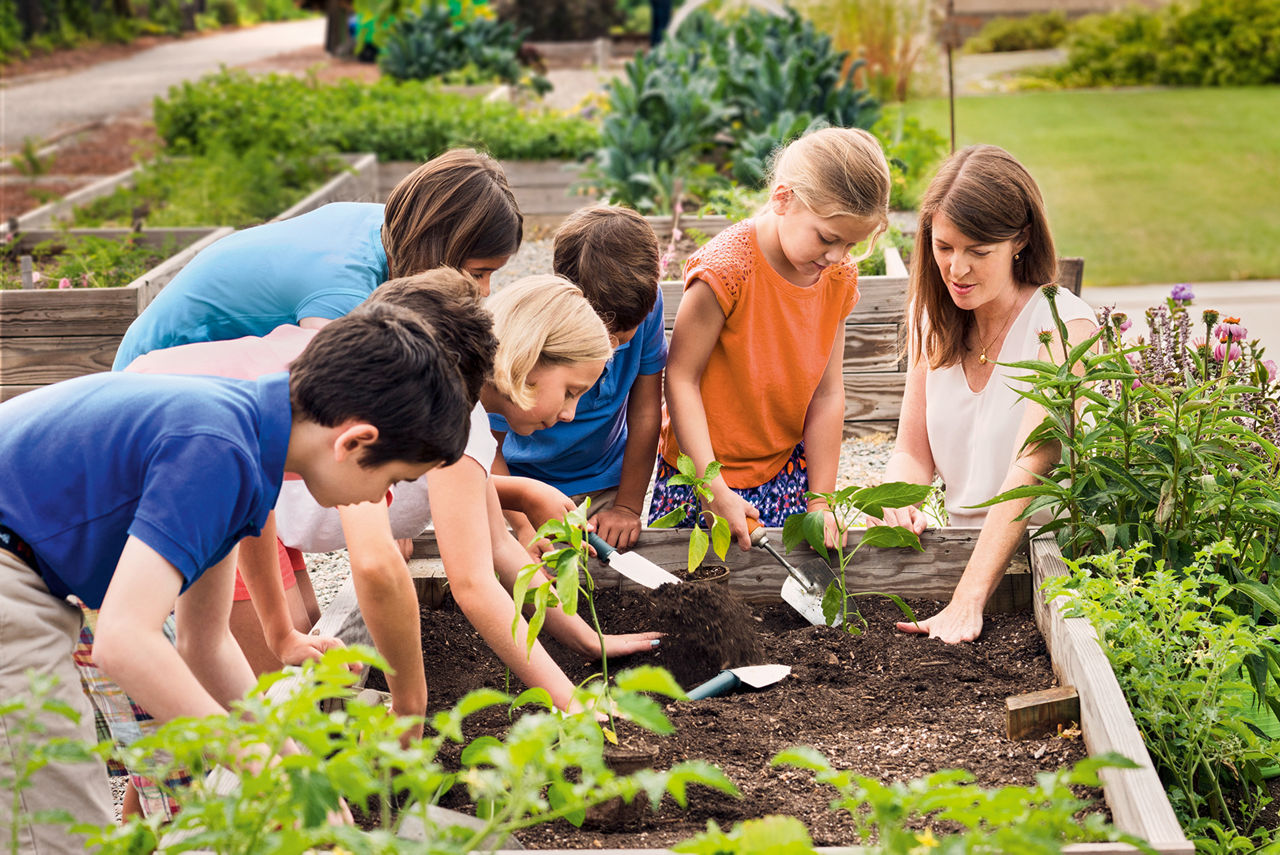 Kinder und Lehrerin gärtnern in einem Hochbeet