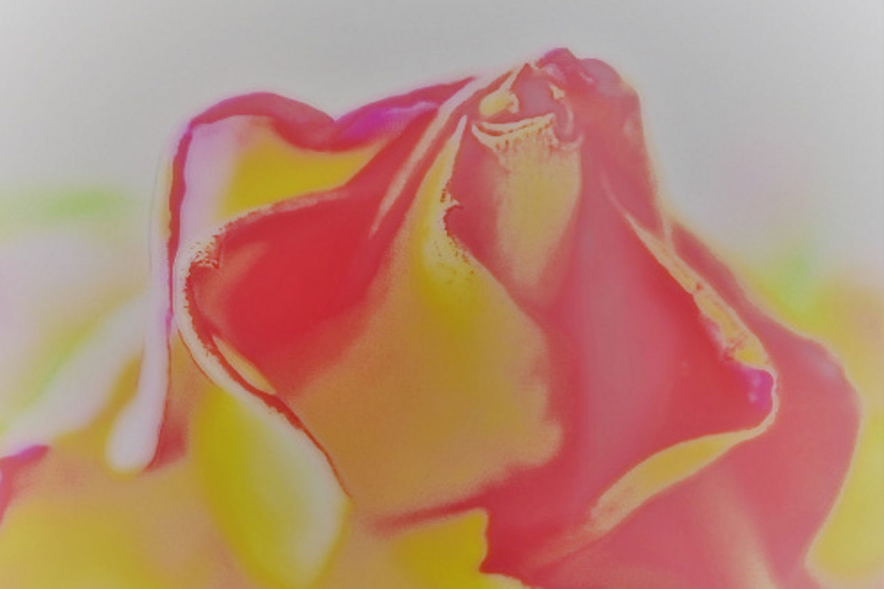 Kunstwerk Ulrike Heid
