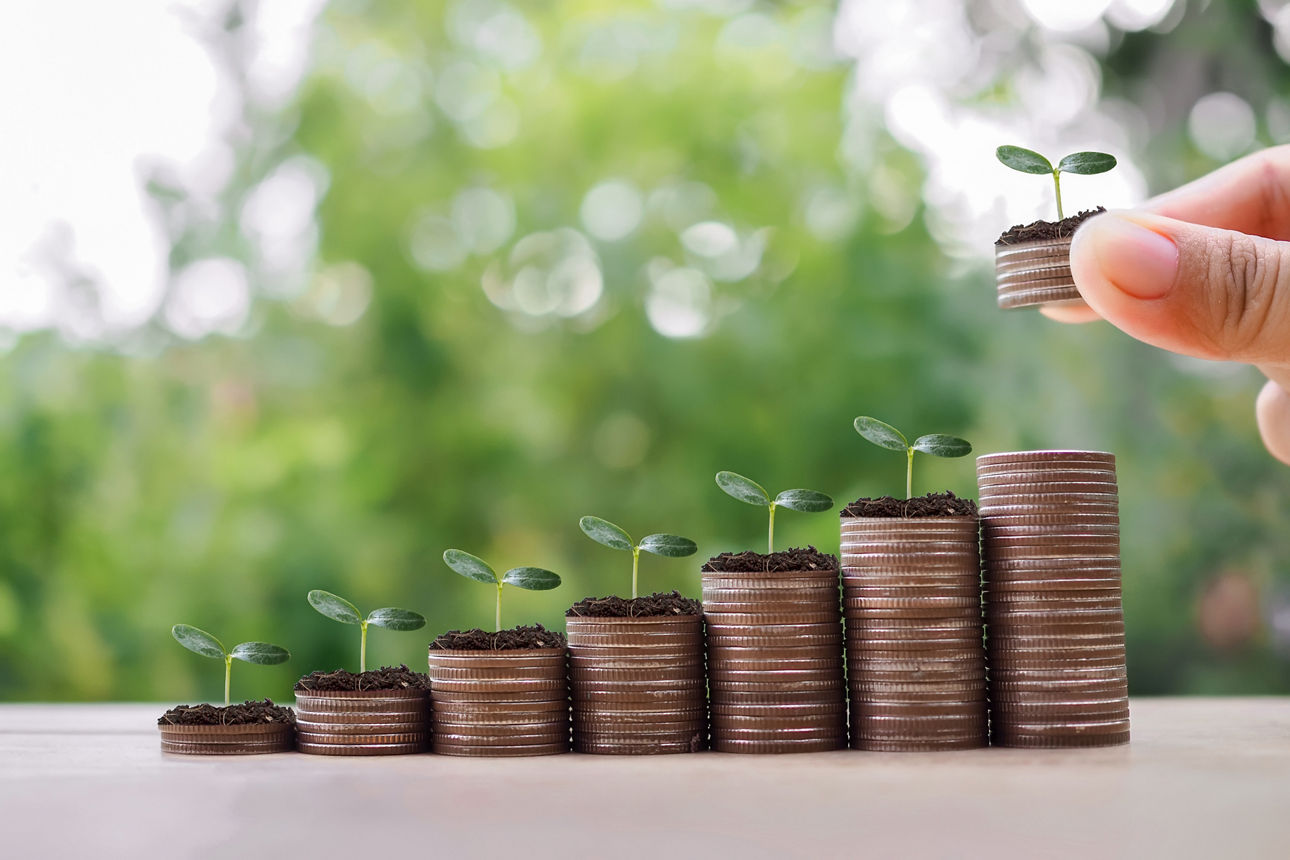 Kleiner Baum der um Münzen wächst 