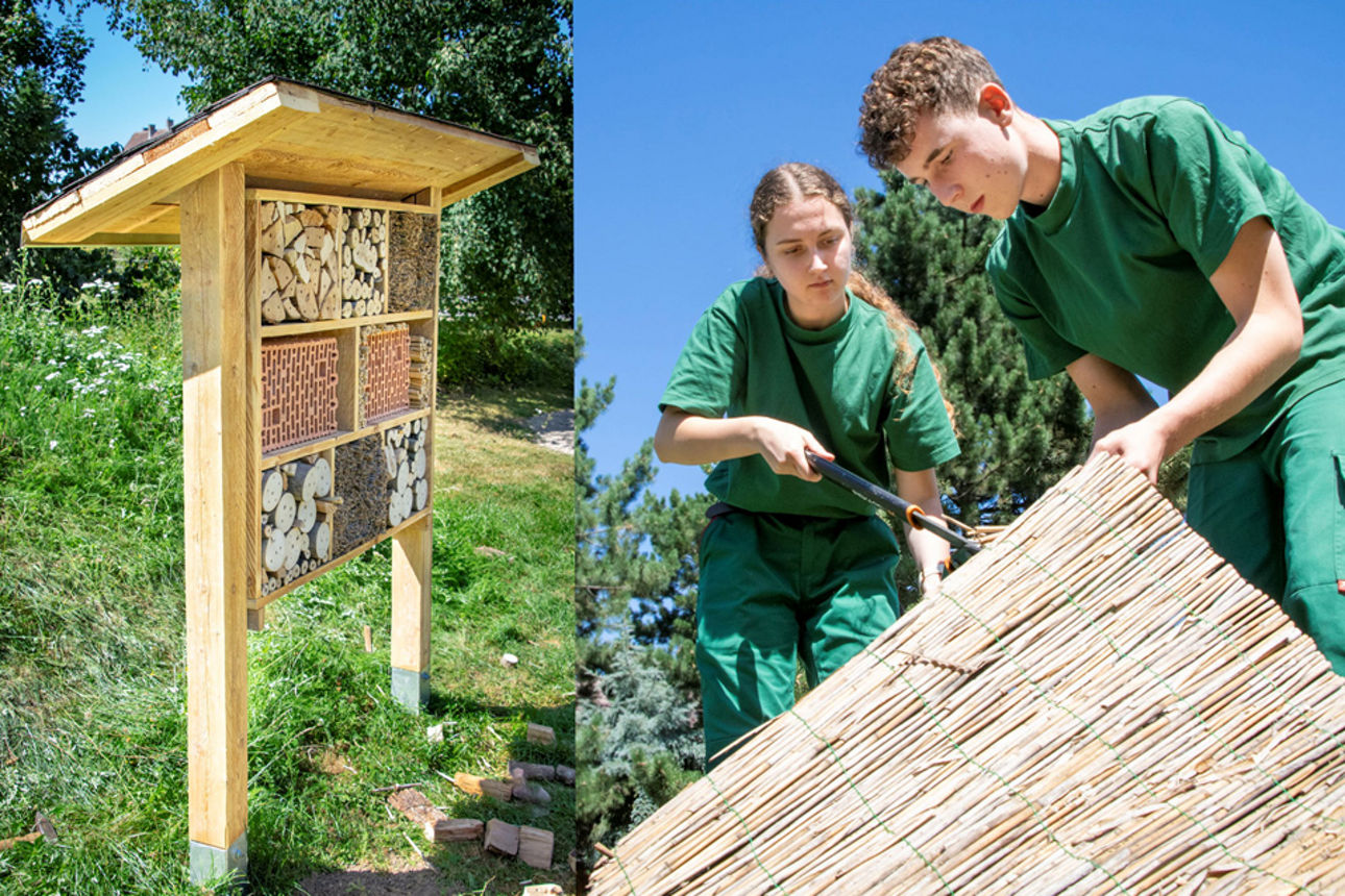 Azubis bauen Insektenhotel zum Ausbildungsstart