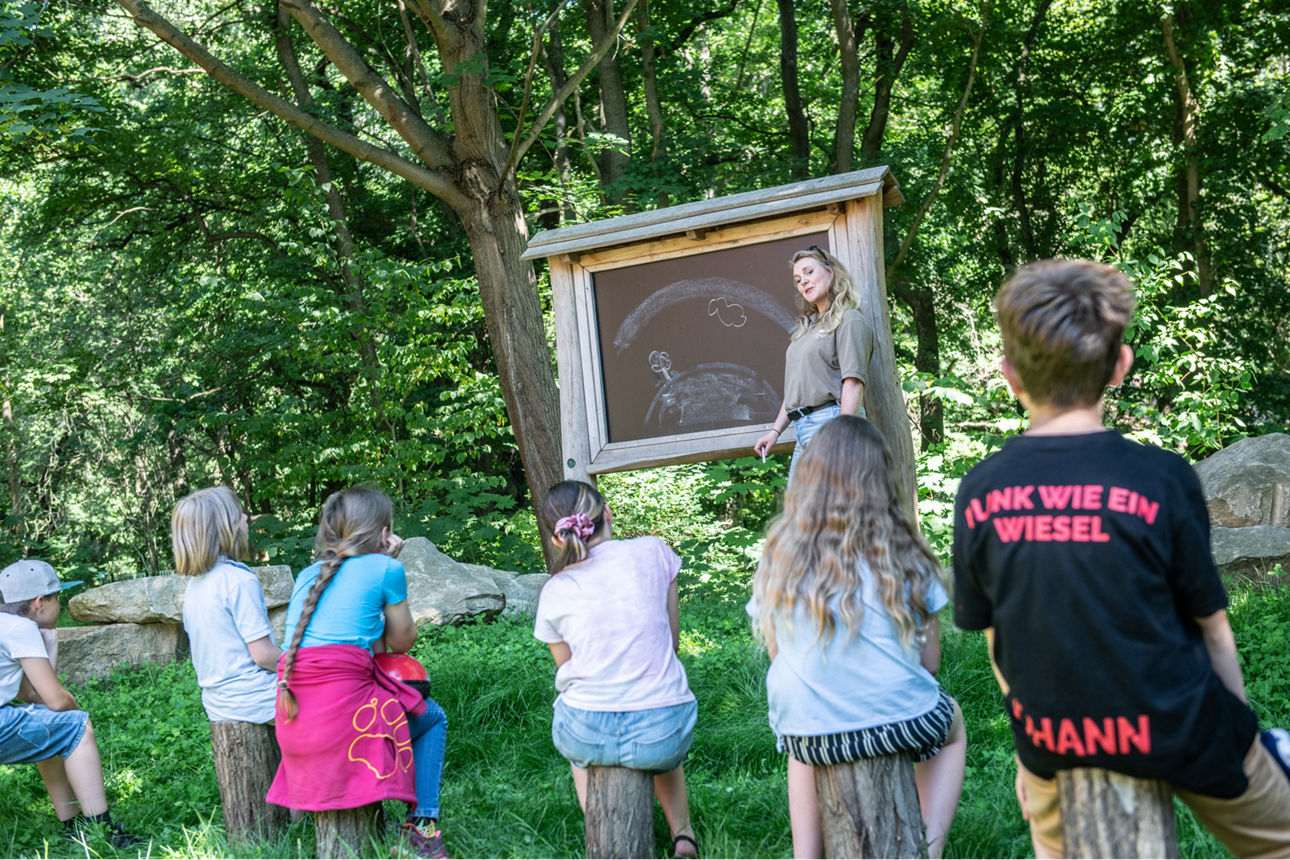 Tierparkschule Naturlehrpfad - Stipendienbewerbung Kinder betrachten im Unterricht ein ausgestopftes Tier und ein Skelettmodell eines Fuchses.