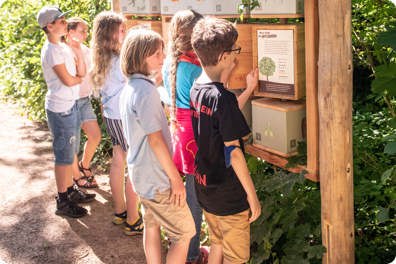 Eine Gruppe Kinder steht vor einer Infotafel und liest sich die Inhalte durch