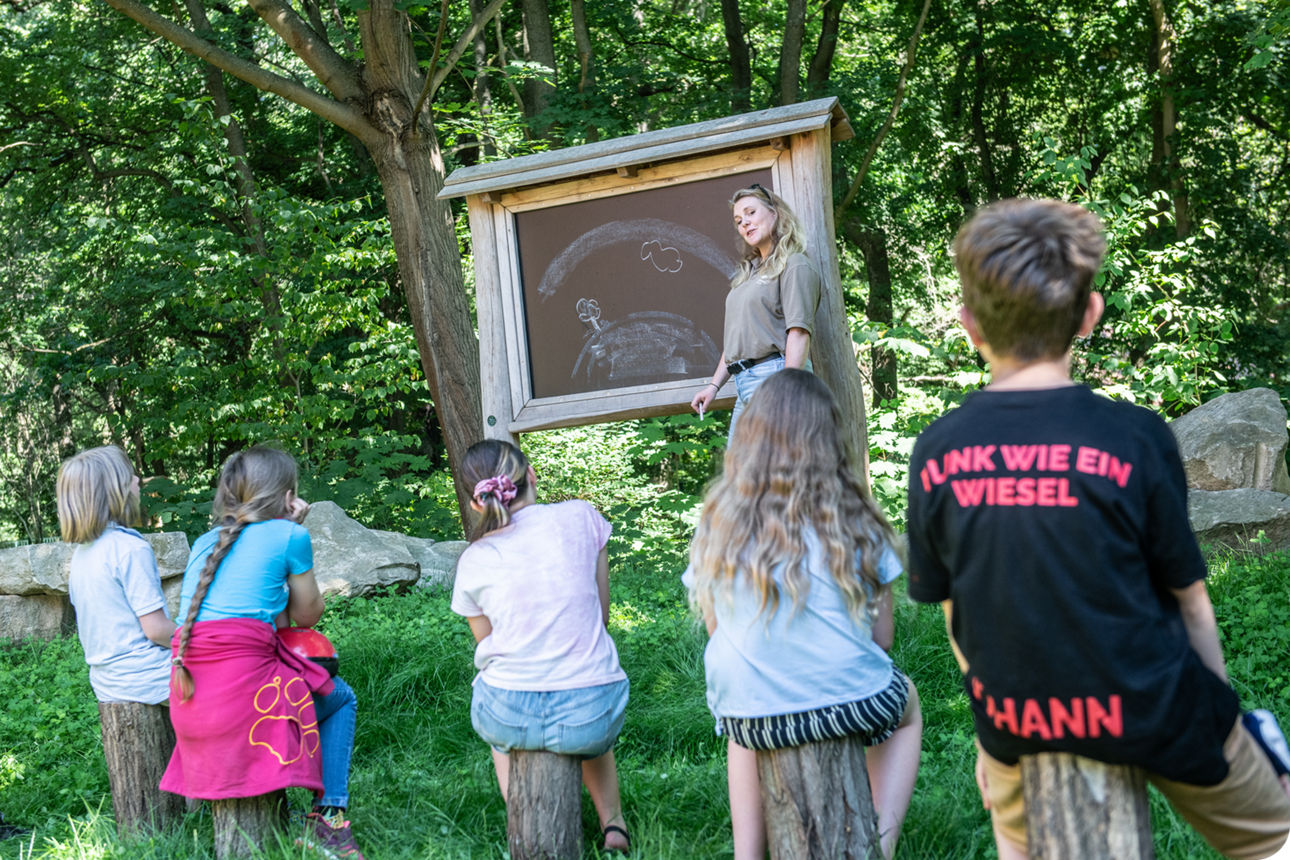 Eine Gruppe von Kindern sitzt auf Baumstämmen im Wald und folgt aufmerksam den Ausführungen einer Lehrerin