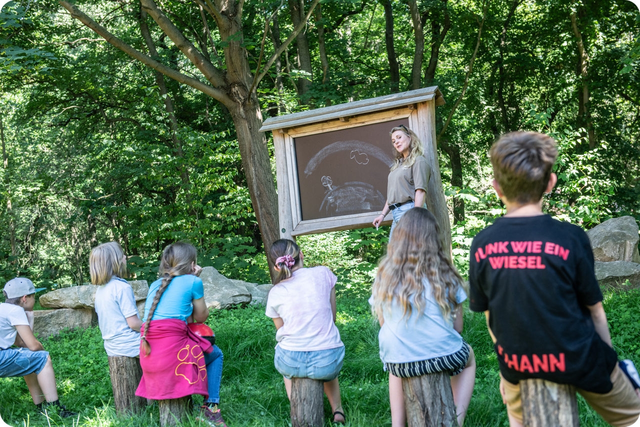 Eine Gruppe von Kindern sitzt auf Baumstämmen im Wald und folgt aufmerksam den Ausführungen einer Lehrerin