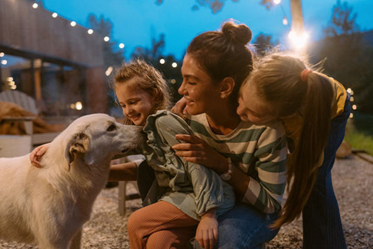 Tiere – Gesundheit & Haftpflicht