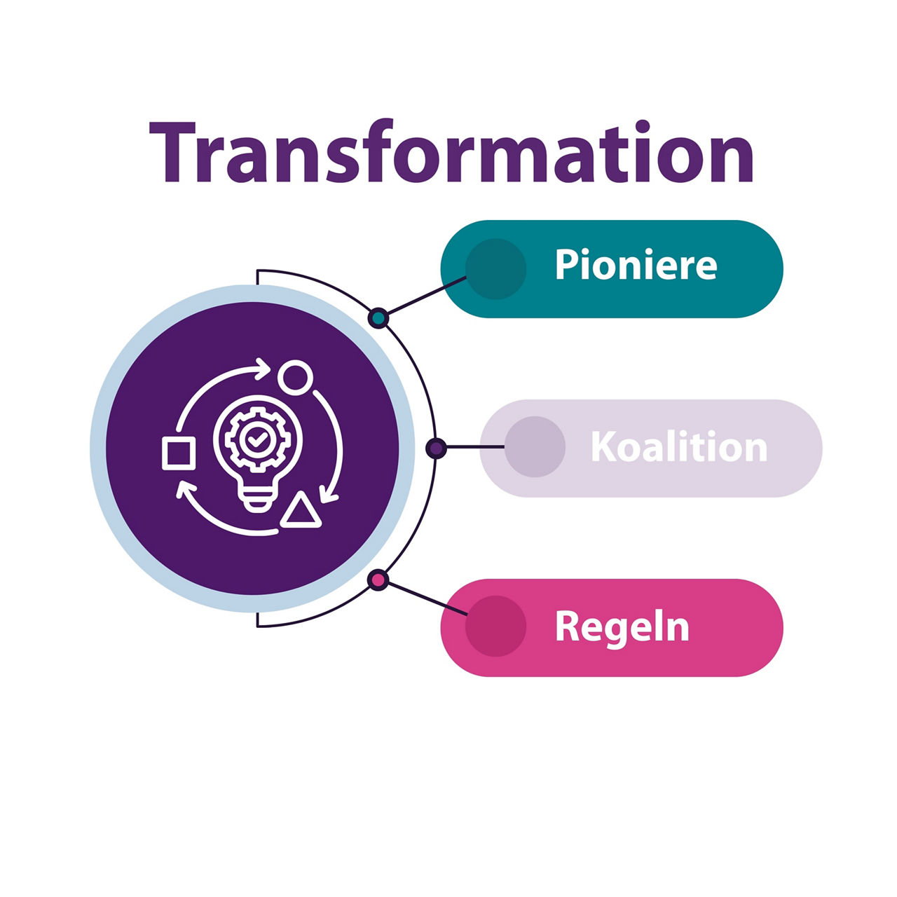 Die Illustration visualisiert die Transformation als Zusammenspiel der drei Ebenen Pioniere, Koalitionen und Regeln. 