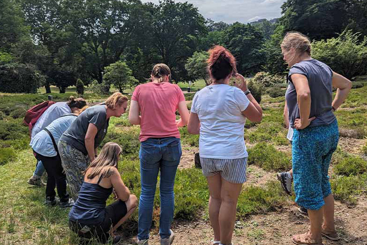Workshop in der Natur