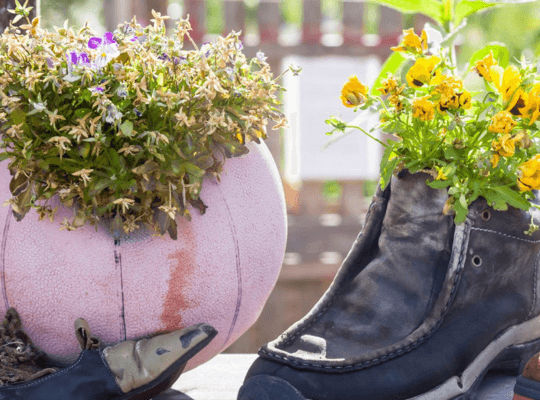 Upcycling bepflanzter Schuh und Ball