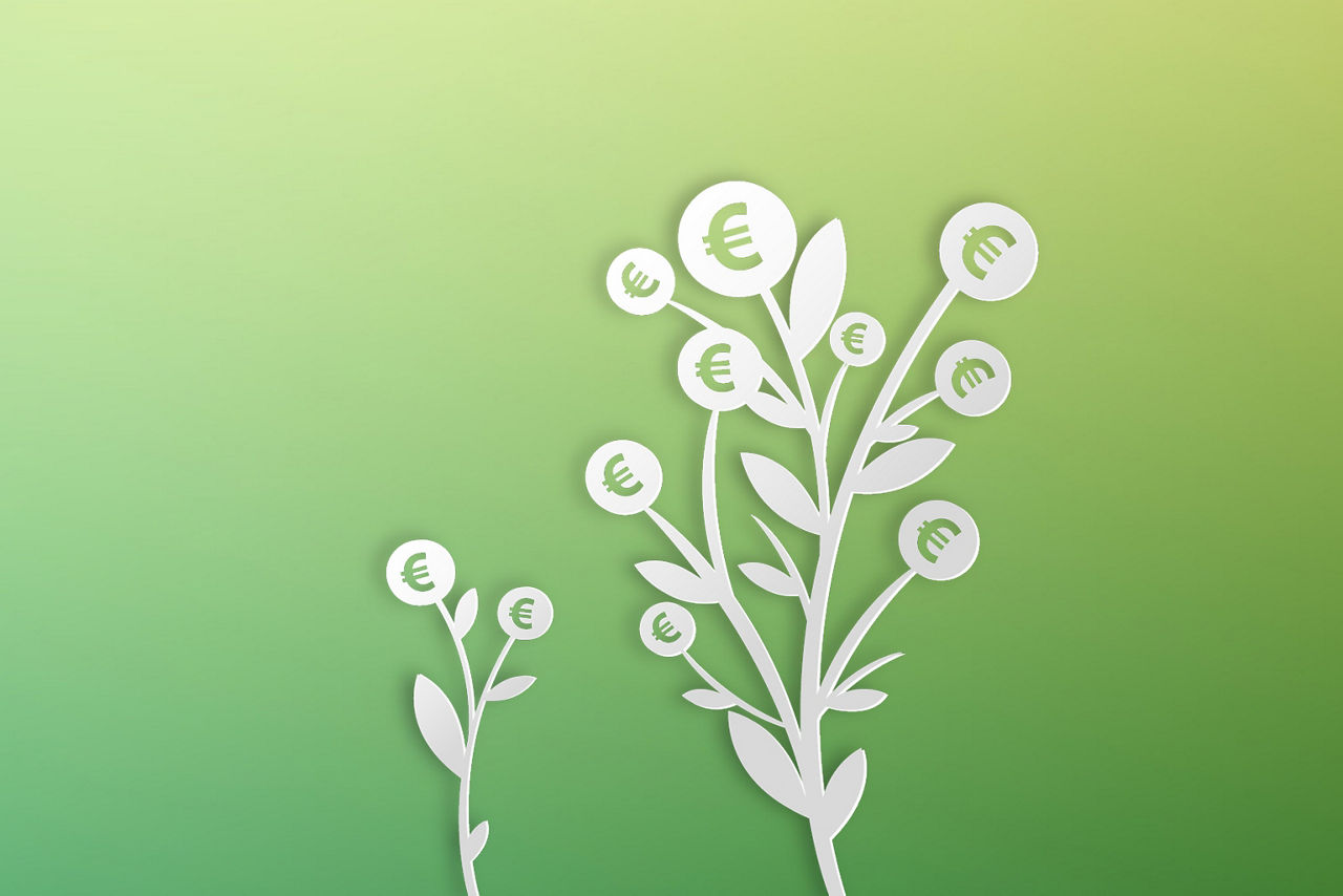 Weiße Zeichnung von zwei Pflanzen mit Blüten, in denen ein Eurozeichnen abgebildet ist, vor grünem Hintergrund