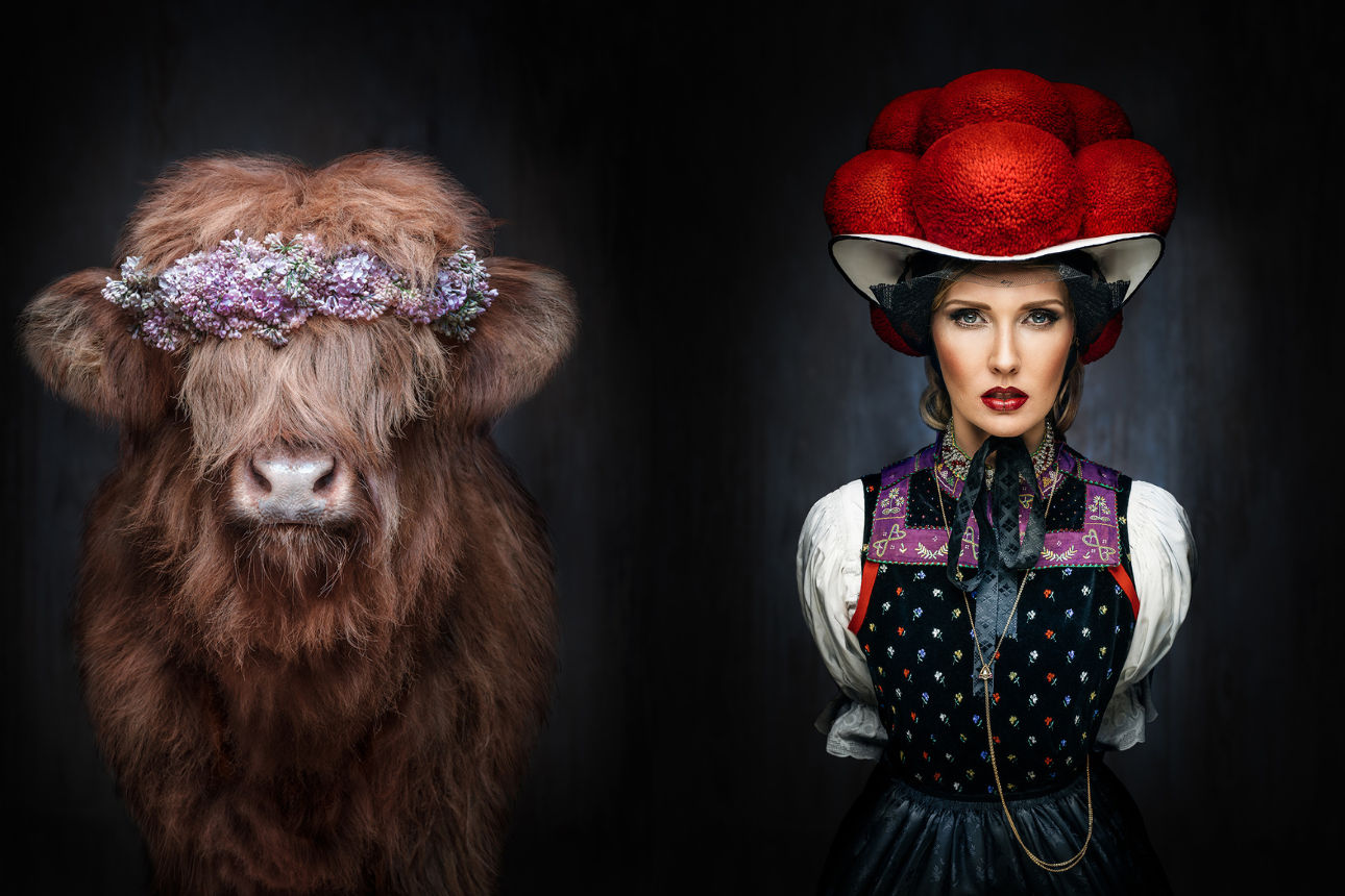 Fotokunst von Sebastian Wehrle: Highlandrind mit Blumenkranz neben Person in Tracht mit rotem Bollenhut.