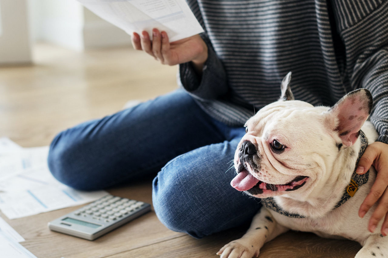 Frau mit Hund auf dem Boden