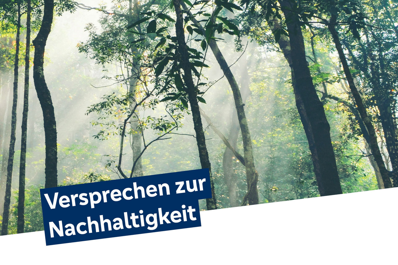 Wald mit dem Schriftzug "Versprechen zur Nachhaltigkeit" im Vordergrund