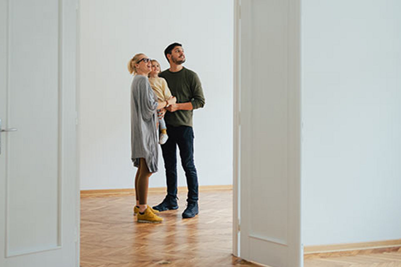 Team Immobilien