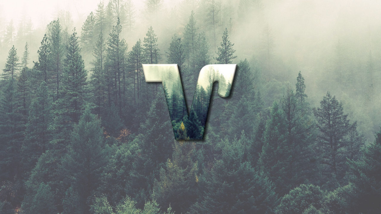 Waldbild inklusive unserem V-Logo im Waldmotiv.