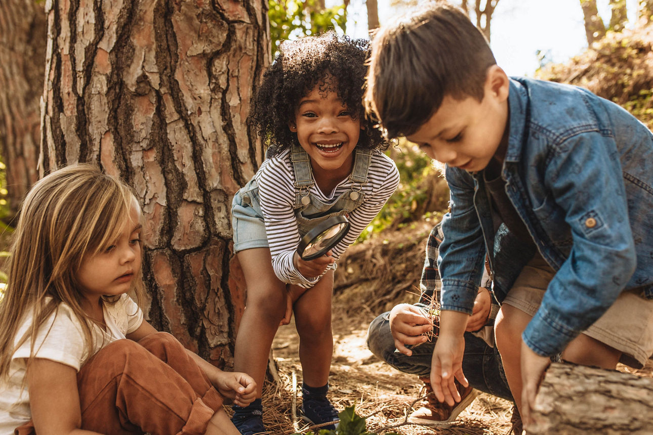 Kinder spielen mit Lupe im Wald