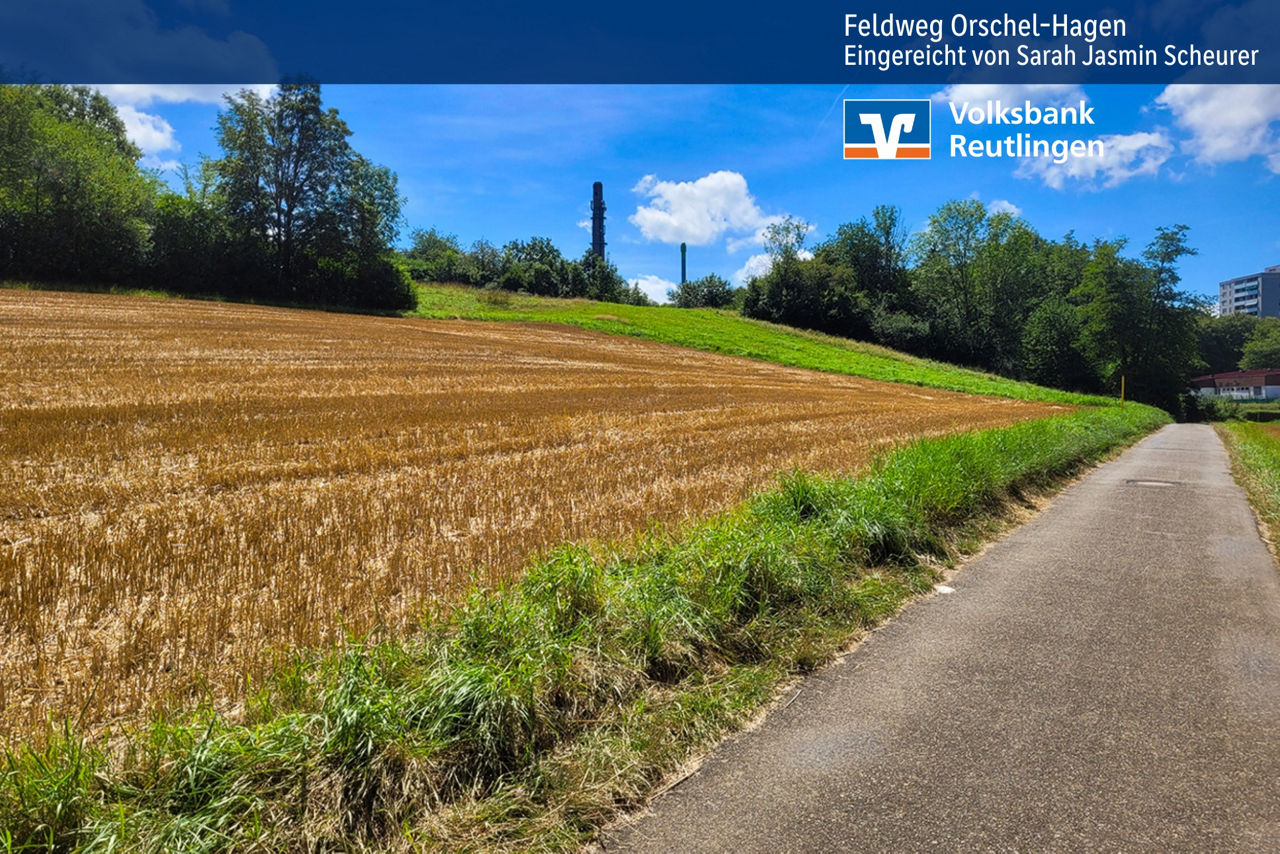 Feldweg in der Nähe von Orschel-Hagen
