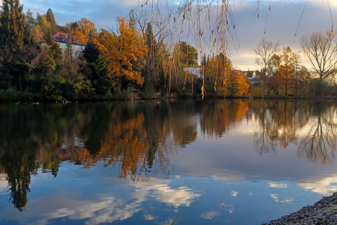 Klostersee, Sindelfingen